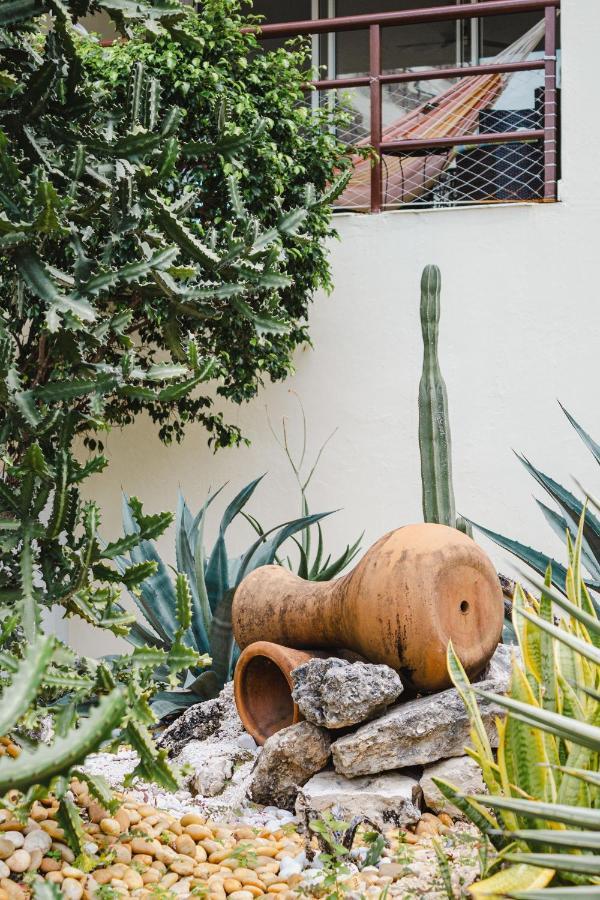 Ixchel Beach Hotel Isla Mujeres Εξωτερικό φωτογραφία