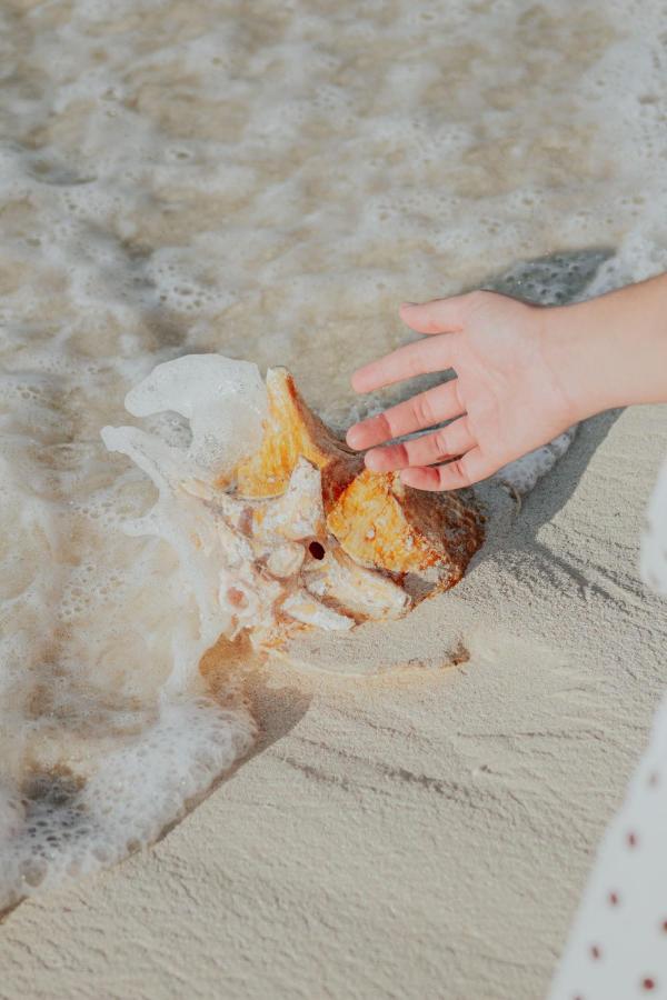Ixchel Beach Hotel Isla Mujeres Εξωτερικό φωτογραφία